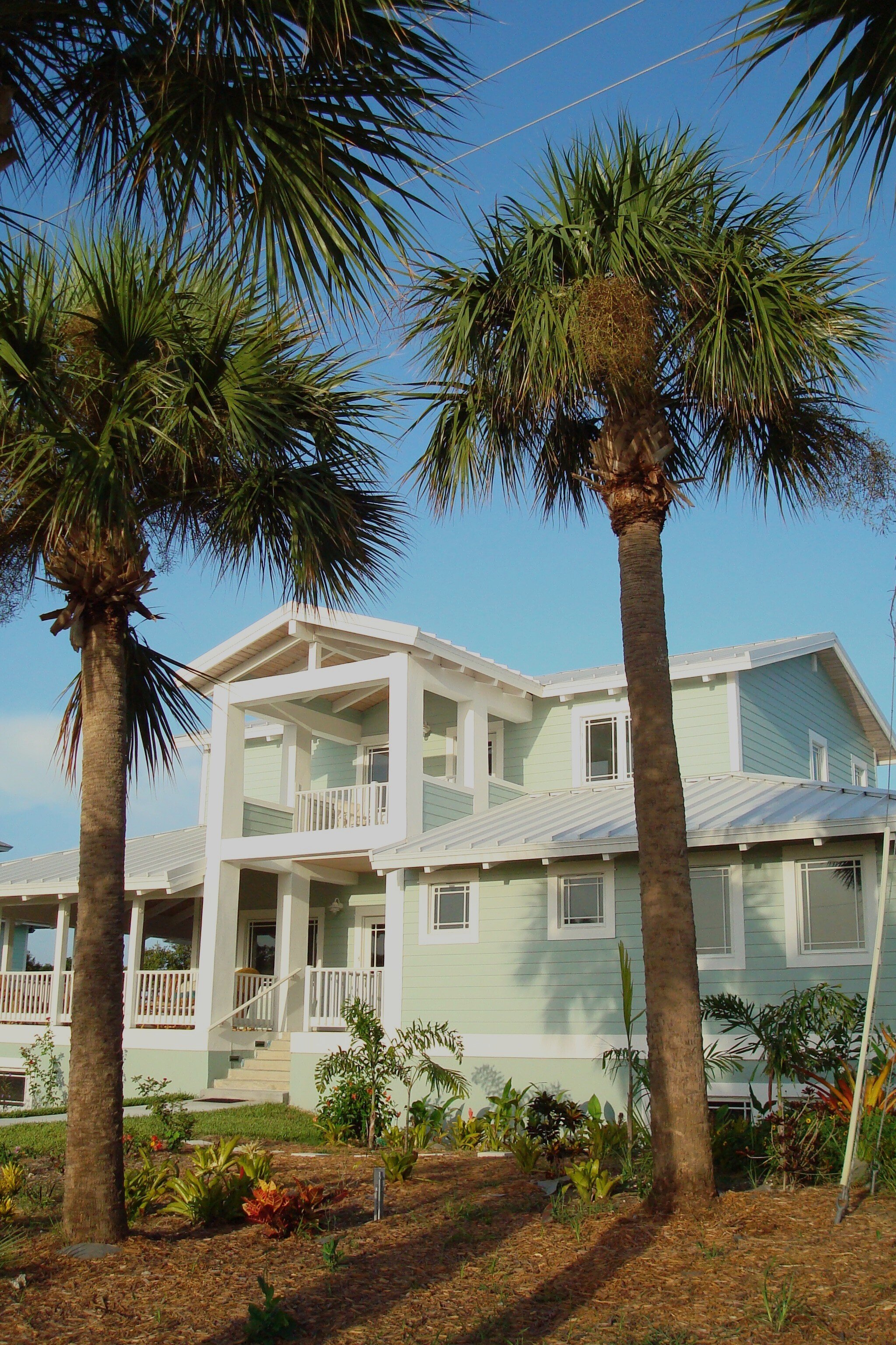 Cooper Res Front View thru Palms